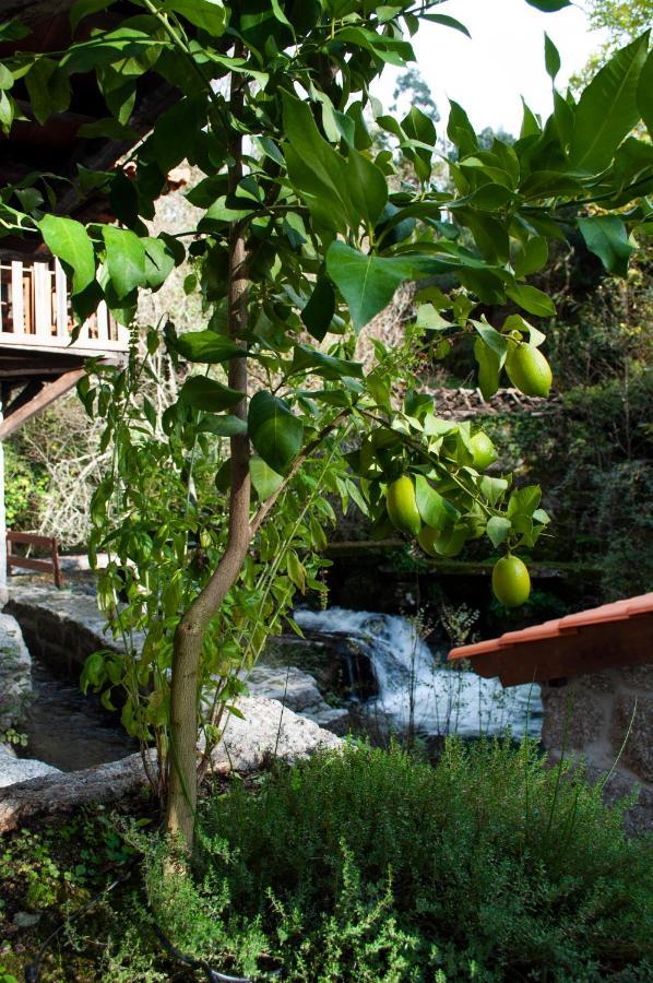 Quinta Das Bollotas Villa Fafe Luaran gambar