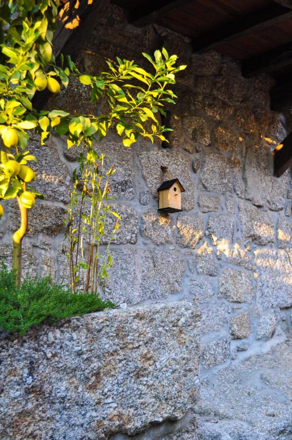 Quinta Das Bollotas Villa Fafe Luaran gambar